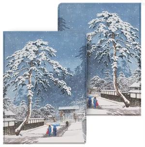 eBookReader Onyx BOOX Go 6 cover vinter